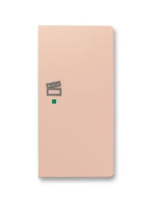6220T-A02203 242 Kryt 2násobný pravý, symbol "scény" Levný